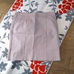 Women's Ann Taylor Pencil Business Skirt Size 12